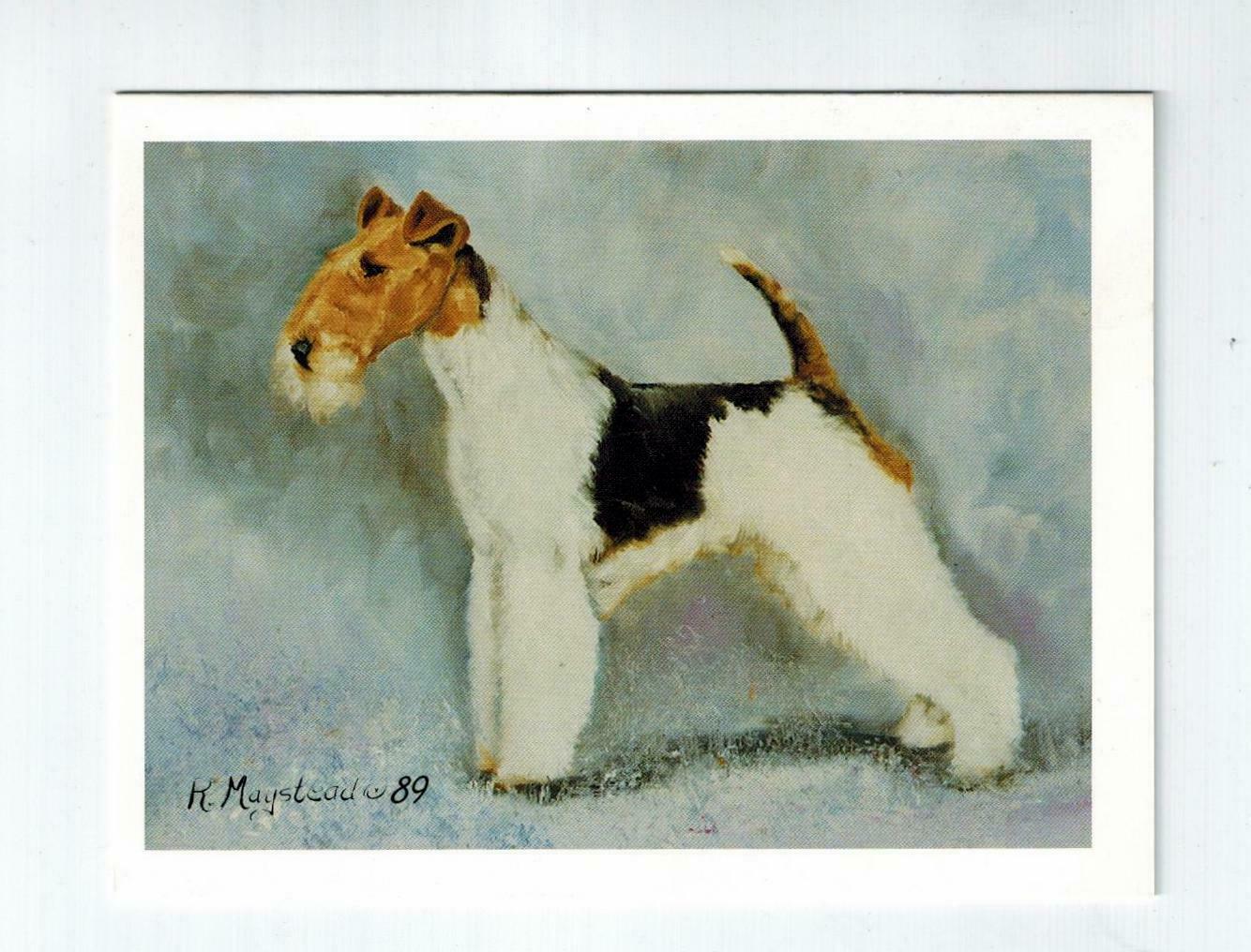Wirehaired Fox Terrier Profile Notecards - 12 Note Cards By Ruth Maystead FXT-4