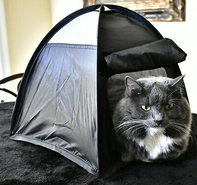 Cat or Dog Bed that pops up like a Tent- My Cats go Psycho **HELP SAVE ANIMALS**