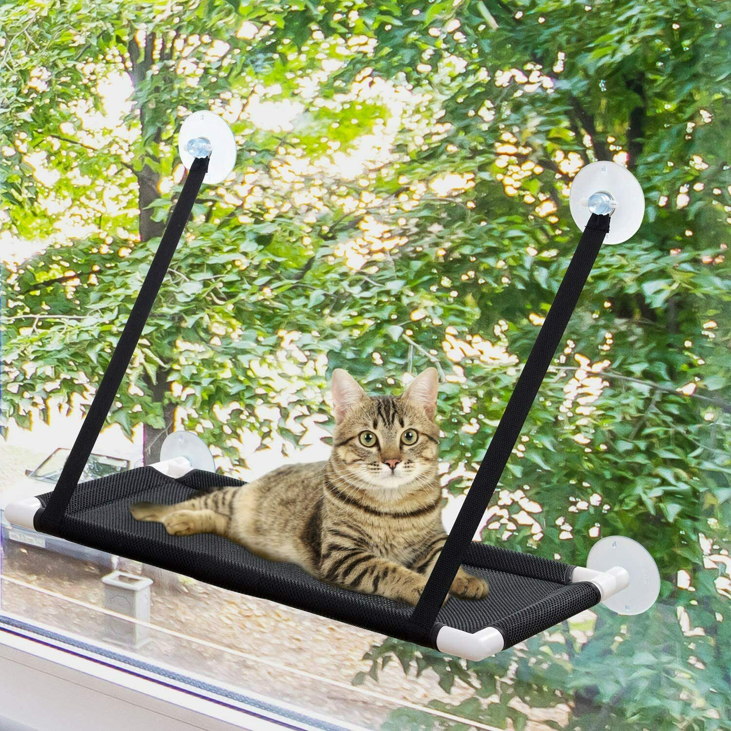 Cat Window Perch Cat Hammock Indoor Window Seat Safety Bed Mounted Shelf Diy